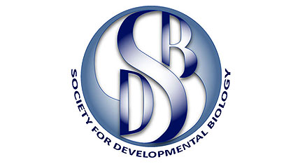 Logo-SDB